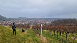 20220129_093031.jpg