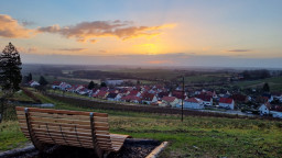 20220130_081713.jpg
