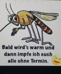 Muecke.jpg