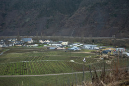 DSC00120.jpg