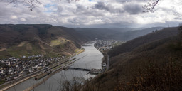 DSC00137.jpg