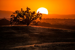 DSC_6932-Edit.jpg