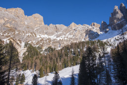 Grandiose Arena