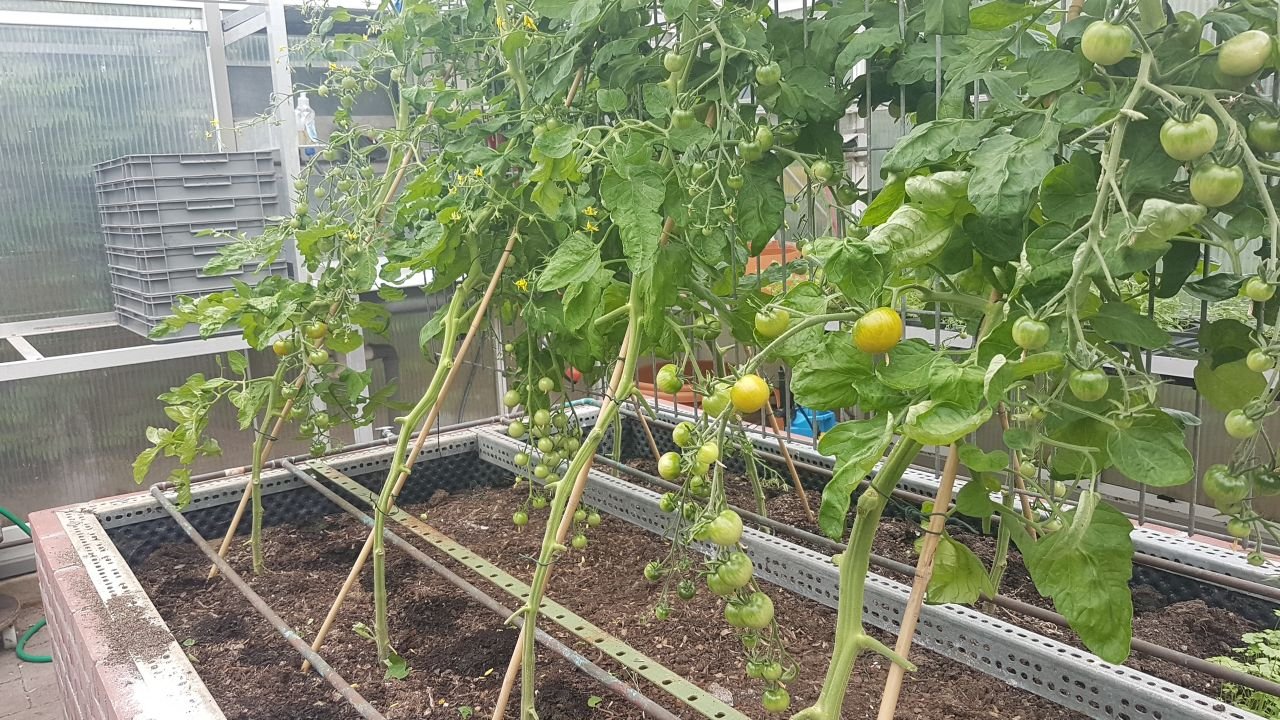 Im Werden