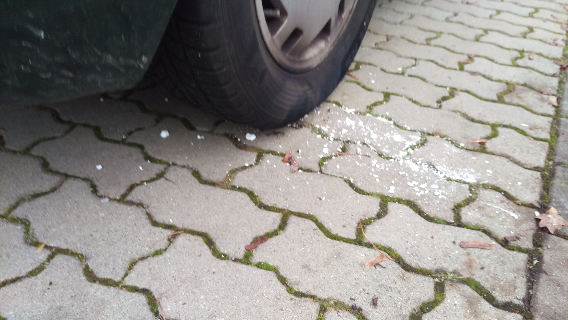 IMAG0100.jpg
