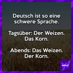 1aa3f92a713e418aa7b91d2e6ab824ed.jpg