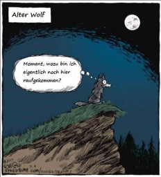 wolf.jpg