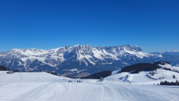 20220309_095950.jpg