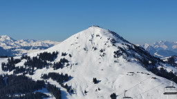 20220309_092617.jpg