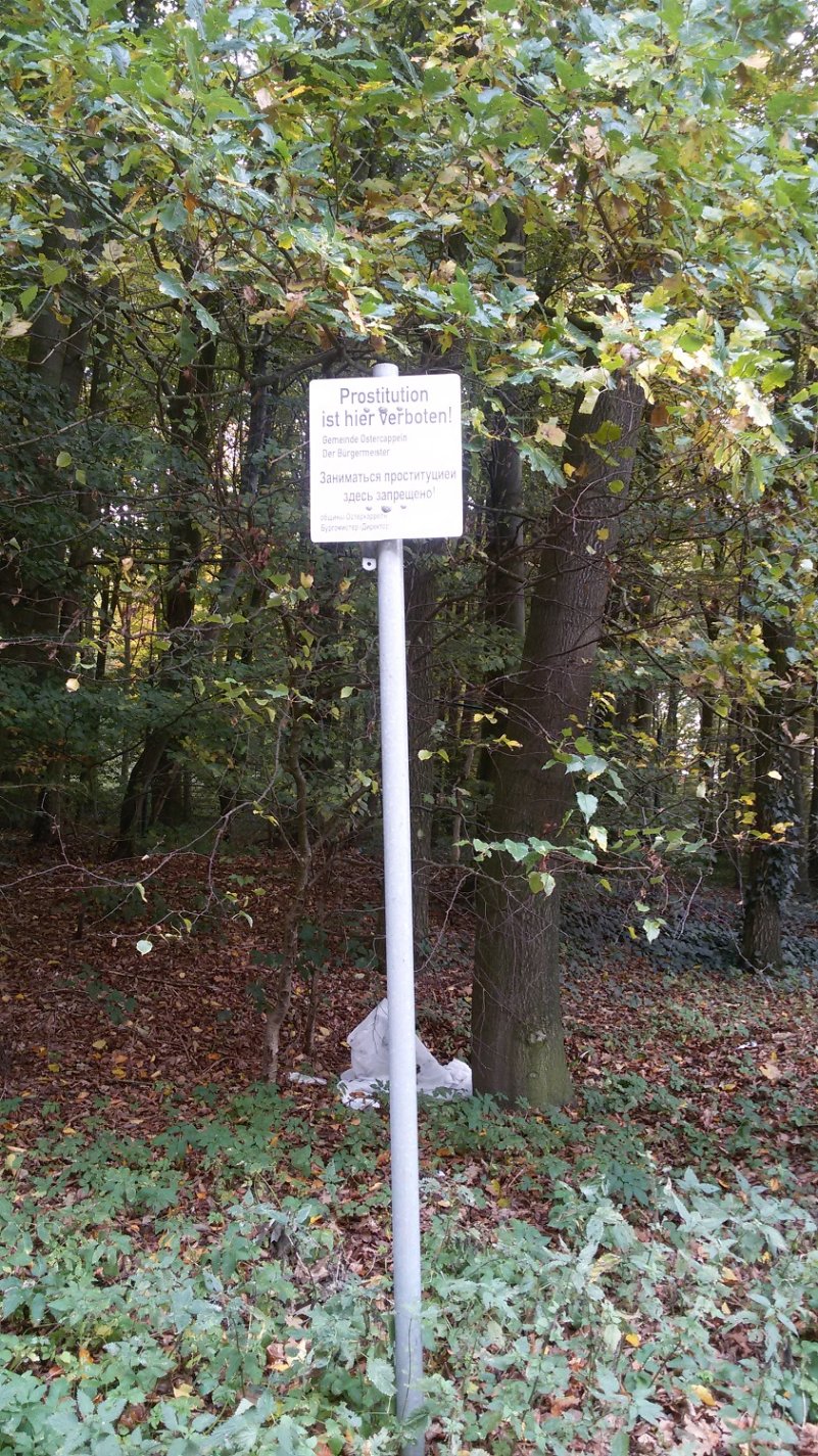 20161031_105643.jpg