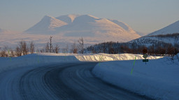 IMG_4789.jpg
