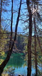 20220314_143514.jpg