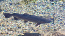 20220314_140536.jpg