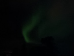 20220303_211757.jpg