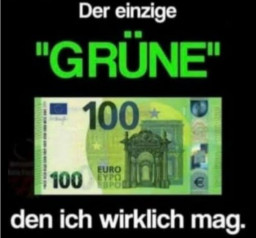 100.JPG