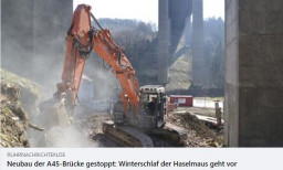 neu.JPG