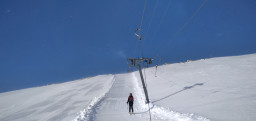 IMG_20220405_091543_1.jpg