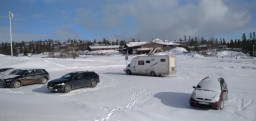 IMG_20220405_091110.jpg