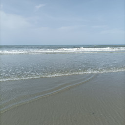 IMG_20220412_131033.jpg