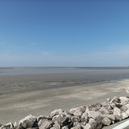 IMG_20220420_121919.jpg