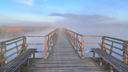 6DB8F5F4-F110-46DA-8B2B-10C5E1EF8E5F.jpeg
