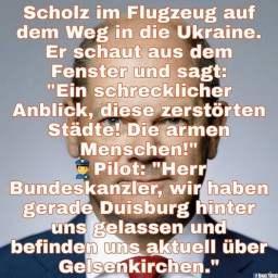 scholz.jpg