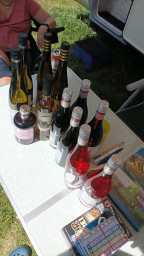 IMG-20220514-WA0050.jpeg