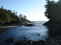 DSC02992.JPG