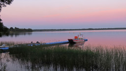 IMG_6781.jpg