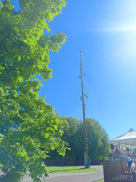 IMG20220624160626.jpg