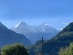 IMG_2744.jpg