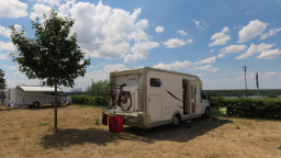 IMG_6837.jpg