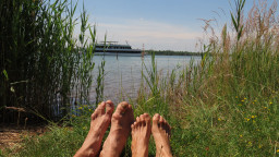 IMG_6895.jpg