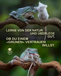 frosch.jpg