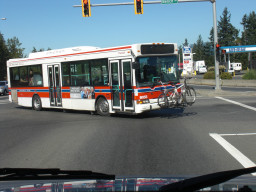CIMG1607.JPG