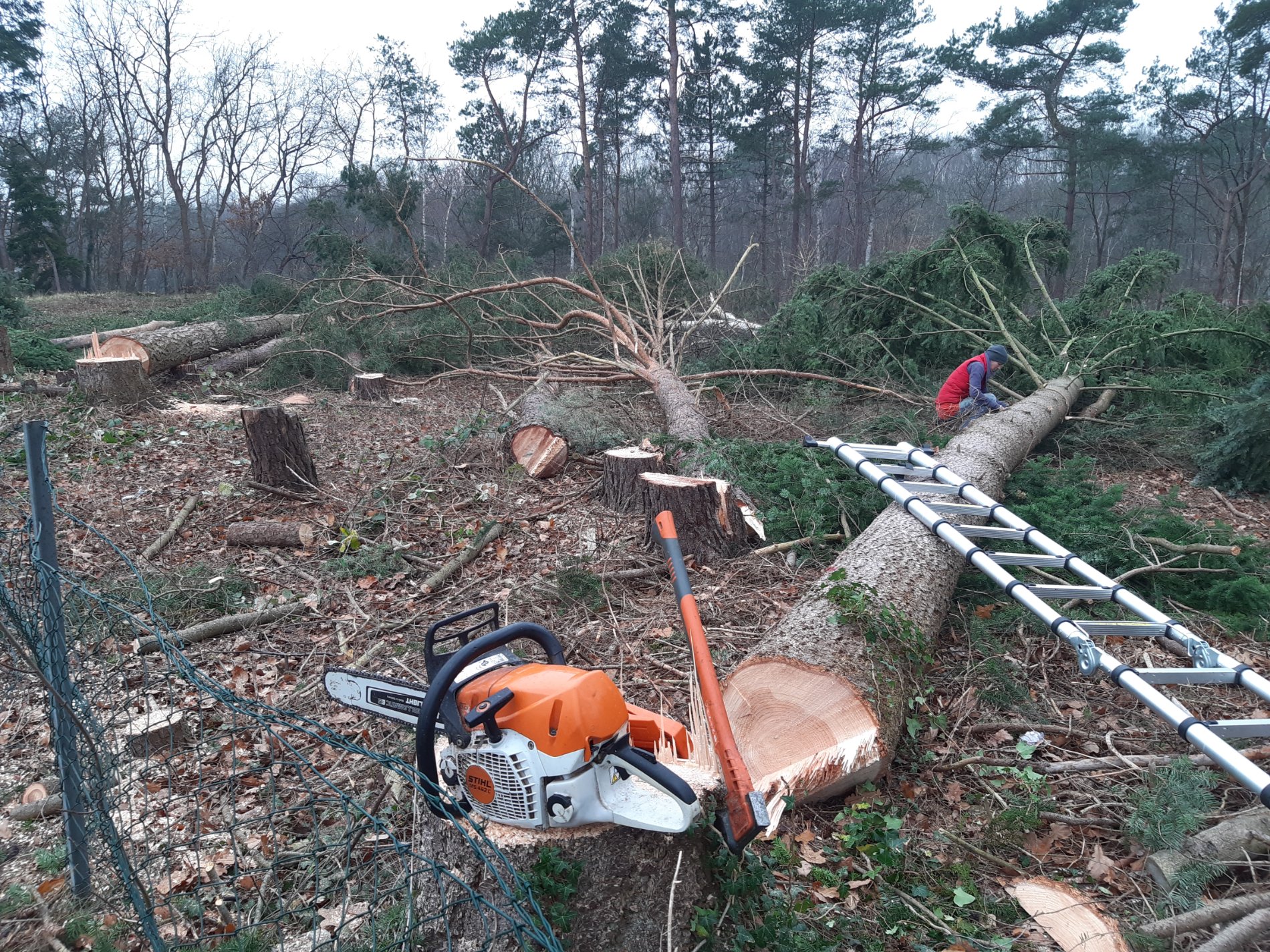 20201213_123759.jpg