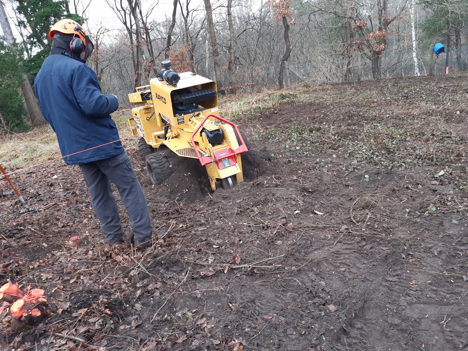 20201216_122607.jpg