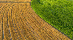 DJI_0133.jpg
