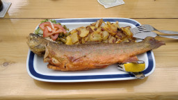 IMG_20220715_125229.jpg