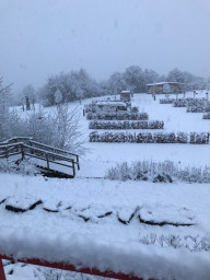 Schn1.jpg