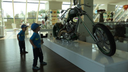 IMG_7692.jpg