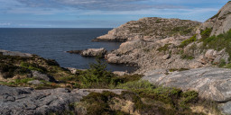 DSC07377.jpg