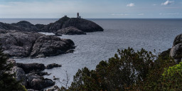 DSC07394.jpg