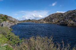 DSC07421.jpg