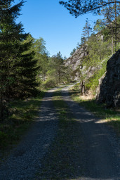 DSC07531.jpg