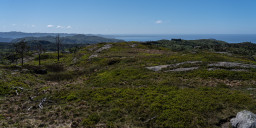 DSC07543.jpg