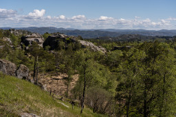 DSC07552.jpg