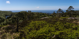 DSC07553.jpg
