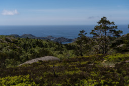 DSC07557.jpg