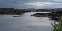 DSC07584.jpg